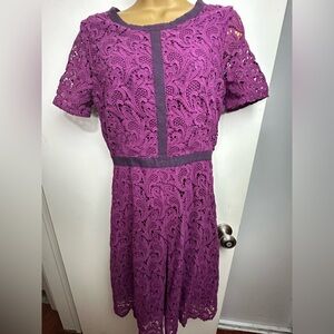J.Crew Collection Purple Cotton Short Sleeve Lace Crochet Overlay Sheath Dress 2